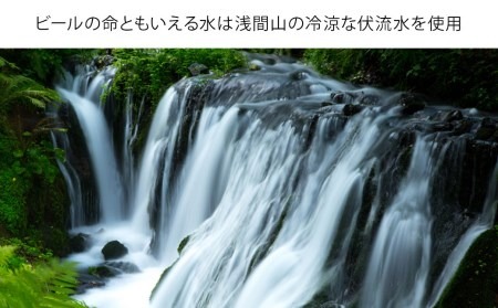 【ふるなび限定】【11カ月定期便】軽井沢ブルワリー クラフトビール 10種20缶 飲み比べ セット | クラフトビール 地ビール FN‐Limited