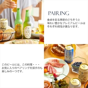 24缶＜ヴァイス＞　THE軽井沢ビール   クラフトビール 地ビール