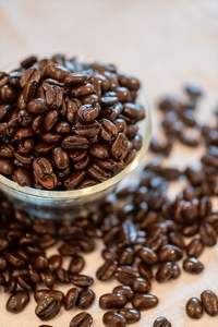 自家焙煎珈琲　ARI SAN COFFEE　200ｇ×３種類（粉）　こだわりの豆（無農薬、減農薬、無化学肥料、オーガニックなど）　直火焙煎【 長野県 佐久市 】