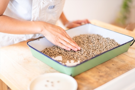 自家焙煎珈琲　ARI SAN COFFEE　200ｇ×３種類（粉）　こだわりの豆（無農薬、減農薬、無化学肥料、オーガニックなど）　直火焙煎【 長野県 佐久市 】
