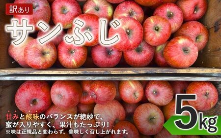 訳あり りんご サンふじ 家庭用 約5kg|りんご