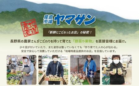 【2026年先行予約】ナガノパープル 約2kg(4~6房)※最低1.8kg以上|ぶどう ぶどう