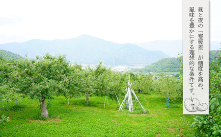 りんごジュース(ふじ) ストレート果汁100% 1000ml×6本|りんごジュース