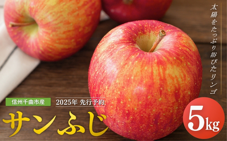 【2025年先行予約】りんご サンふじ 約5kg[中島農園] ｜ りんご りんご りんご りんご りんご りんご