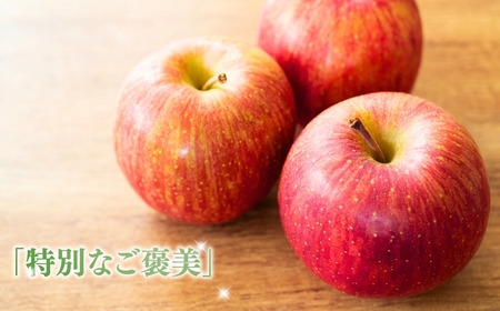 【2026年先行予約】りんご サンふじ 約5kg 中島農園|りんご