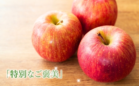 【2026年先行予約】りんご シナノドルチェ 6~11玉 約3kg|シナノドルチェ