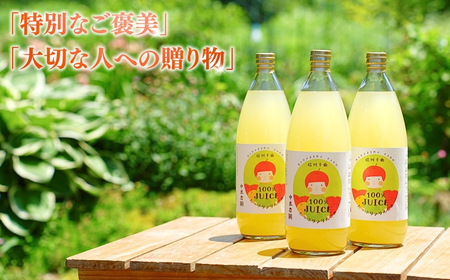 りんご ジュース(サンふじとシナノゴールド) 1L×6本 |りんごジュース