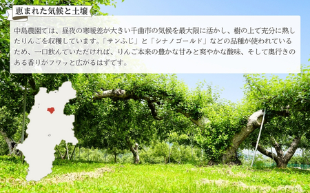 りんご ジュース(サンふじとシナノゴールド) 1L×6本 |りんごジュース