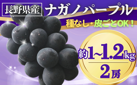 【2026年先行予約】ぶどう ナガノパープル 約1~1.2kg(2房)|ナガノパープル