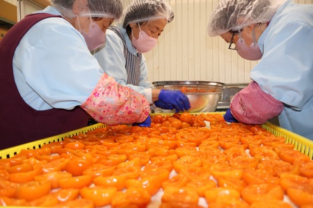 あんず シロップ漬け 1本＆ジャム 2本 セット|あんず