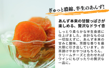 酸味とおいしさそのまま ドライ杏 (半生) 3個|あんず あんず
