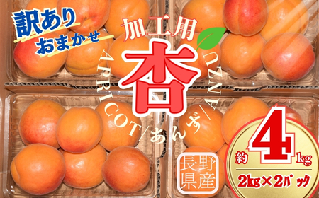 【2026年先行予約】訳あり あんず おまかせ加工用(平和・昭和・信州大実・信月のいずれか) 計約4kg(約2kg×2パック)  