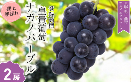 【2026年先行予約】ぶどう ナガノパープル 特秀品 加湿ハウス栽培 2房 |ナガノパープル特秀品