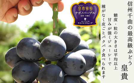 【2026年先行予約】ぶどう ナガノパープル 特秀品 加湿ハウス栽培 2房 |ナガノパープル特秀品