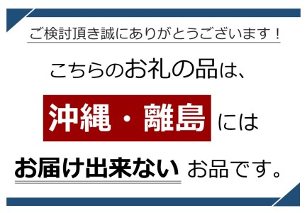  信州千曲の地サイダー　「あんずサイダー」ギフトセット（10本入）