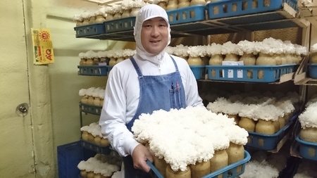 旬のきのこ6種+きのこご飯の素セット|きのこ