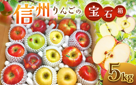 【2024年先行予約】信州 りんご 詰合せ 約5kg りんごの宝石箱