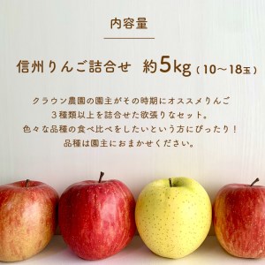 【2024年先行予約】信州 りんご 詰合せ 約5kg りんごの宝石箱