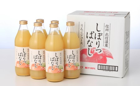 信州産 りんごジュース 「しぼりっぱなし」 果汁100％ (1ℓ×6本)