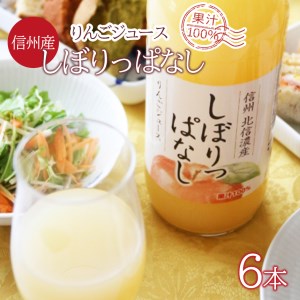 信州産 りんごジュース 「しぼりっぱなし」 果汁100％ (1ℓ×6本)