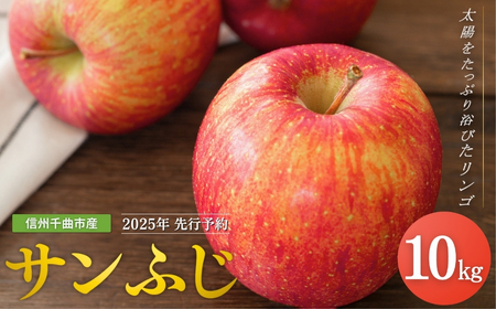【2025年先行予約】りんご サンふじ 約10kg[中島農園] ｜ りんご りんご りんご りんご りんご