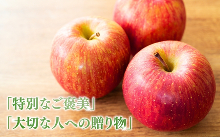 【2025年先行予約】りんご サンふじ 約10kg[中島農園] ｜ りんご りんご りんご りんご りんご