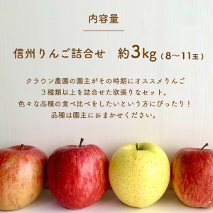 【2024年先行予約】 信州 りんご 詰合せ 約3kg りんごの宝石箱 