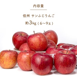 りんごの王様「サンふじ」 約3kg (6～9玉)