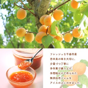 ◎体に優しい無添加 杏アイス 2種 11個(ミルク6個・マーブル5個)
