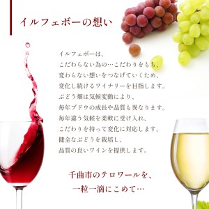 ソレイユ メルロ 「SARAS Soleil」 赤ワイン 750ml×2本