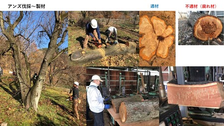 SUMIあんずギター(CONCERT)|ギター