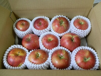 【2026年先行予約】りんご 夏あかり2kg | りんご