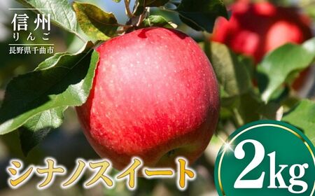 【2026年先行予約】りんご シナノスイート2kg |りんご シナノスイート