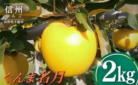 【2026年先行予約】りんご ぐんま名月2kg |りんご ぐんま名月