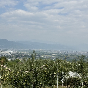 【2026年先行予約】りんご ぐんま名月2kg |りんご ぐんま名月