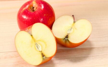 りんご サンふじ 約3kg|りんご