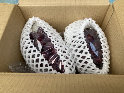 【2026年先行予約】種なしぶどう クイーンルージュ®(長野県オリジナル品種) 約1kg (2 ~ 3房) | ぶどう