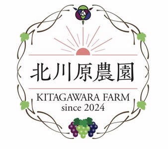 【2026年先行予約】種なしぶどう クイーンルージュ®(長野県オリジナル品種) 約1kg (2 ~ 3房) | ぶどう