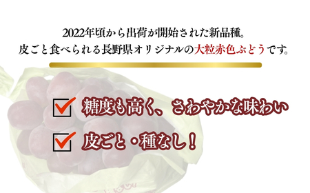 【2026年先行予約】ぶどう クイーンルージュ® 約1kg|ぶどう クイーンルージュ