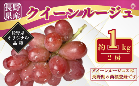 2026年先行予約】クイーンルージュ® 約1kg|クイーンルージュ ぶどう