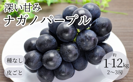 【2026年先行予約】ぶどう ナガノパープル1kg~1.2kg(2~3房)｜ ナガノパープル
