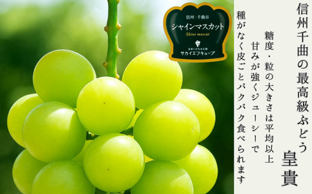 【2026年先行予約】シャインマスカット お中元 加湿ハウス栽培 最上級品 2房 ｜ シャインマスカット