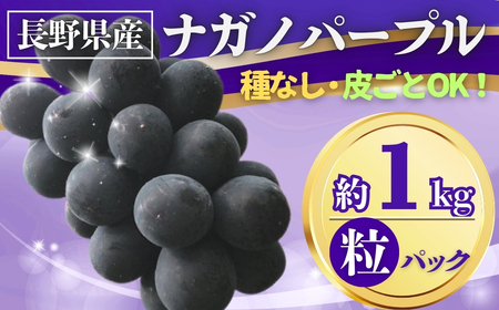 【2026年先行予約】ぶどう ナガノパープル粒パック 約1kg|ぶどう