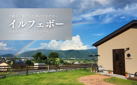 白ワイン＜メテオレ＞ 750ml × 1本 ｜ 白ワイン