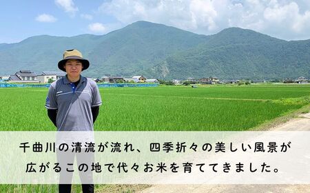 令和7年産コシヒカリ精米5kg｜ コシヒカリ ご飯 白米 千曲市 長野県 信州