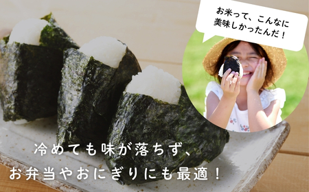 令和7年産コシヒカリ精米10kg| コシヒカリ ご飯 白米 千曲市 長野県 信州