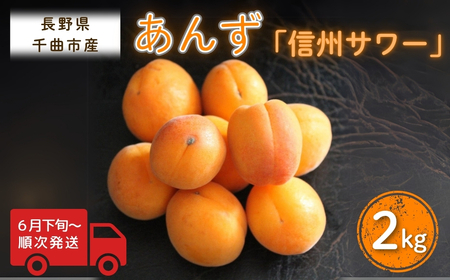 【2026年先行予約】あんず 信州サワー(長野県オリジナル品種) 約2kg |あんず シロップ漬け 千曲市産 長野県 信州