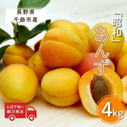 【2026年先行予約】あんず 昭和(長野県オリジナル品種) 約4kg |あんず 千曲市産 長野県 信州