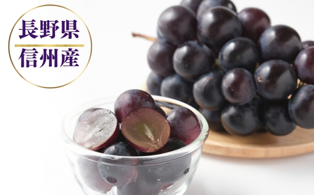 【2026年先行予約】ナガノパープル 400g以上(1房) | ぶどう ぶどう