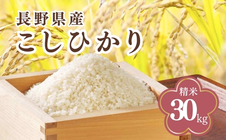 コシヒカリ 精米 30kg 令和7年産｜ コシヒカリ 千曲市 長野県 信州
